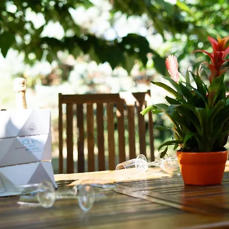 Penzion Ile Des Plaisirs, D'hotes Naturistes Avec Petit-dejeuner Tropical Inclus