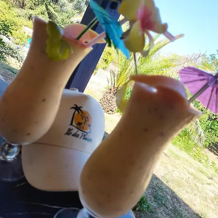 ゲストハウス Ile Des Plaisirs, Adults Only, Piscine Au Sel, Jacuzzi, Petit Dejeuner Tropical Offert Graulhet