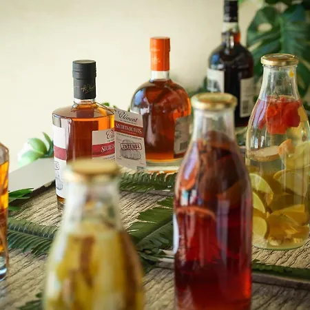 Pensionat Ile Des Plaisirs, D'hotes Naturistes Avec Petit-dejeuner Tropical Inclus *