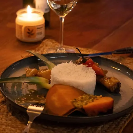 Ile Des Plaisirs, Adults Only, Piscine Au Sel, Jacuzzi, Petit Dejeuner Tropical Offert ゲストハウス Graulhet