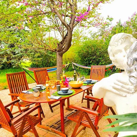 ゲストハウス Ile Des Plaisirs, Adults Only, Piscine Au Sel, Jacuzzi, Petit Dejeuner Tropical Offert Graulhet