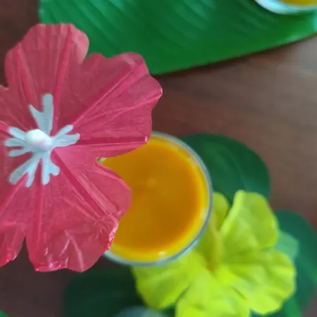 Ile Des Plaisirs, Adults Only, Piscine Au Sel, Jacuzzi, Petit Dejeuner Tropical Offert Graulhet