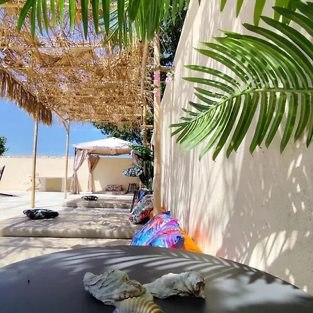 Ile Des Plaisirs, Adults Only, Piscine Au Sel, Jacuzzi, Petit Dejeuner Tropical Offert ゲストハウス Graulhet