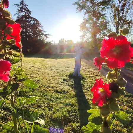 Affittacamere île Des Plaisirs, Adultes Avec Petit Déjeuner Offert 3*