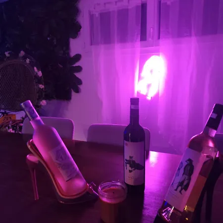 Ile Des Plaisirs, Adults Only, Piscine Au Sel, Jacuzzi, Petit Dejeuner Tropical Offert Graulhet