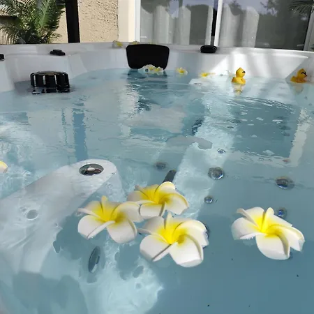 Ile Des Plaisirs, Adults Only, Piscine Au Sel, Jacuzzi, Petit Dejeuner Tropical Offert Graulhet