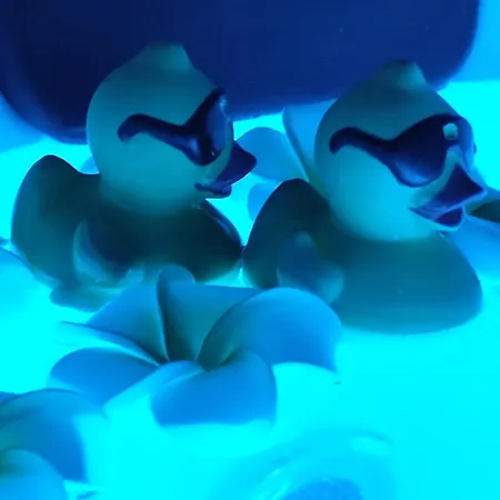 île Des Plaisirs, Adultes Avec Petit Déjeuner Offert 3* Graulhet