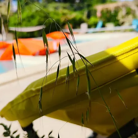 Penzion Ile Des Plaisirs, D'hotes Naturistes Avec Petit-dejeuner Tropical Inclus Graulhet