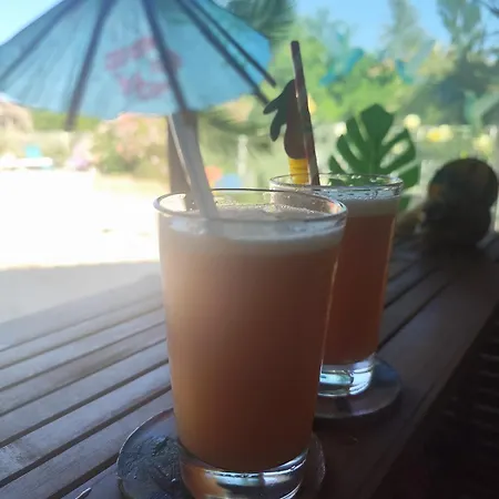 Penzion Ile Des Plaisirs, D'hotes Naturistes Avec Petit-dejeuner Tropical Inclus