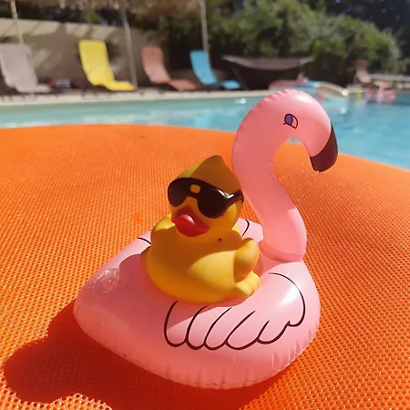 Penzion Ile Des Plaisirs, D'hotes Naturistes Avec Petit-dejeuner Tropical Inclus Graulhet
