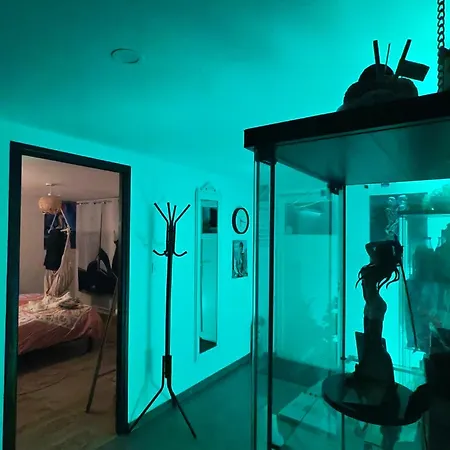 ゲストハウス Ile Des Plaisirs, Adults Only, Piscine Au Sel, Jacuzzi, Petit Dejeuner Tropical Offert