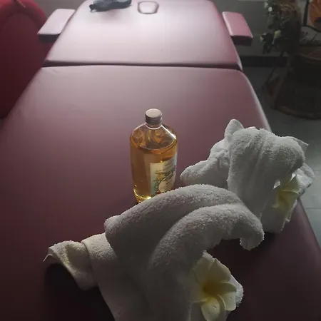 ゲストハウス Ile Des Plaisirs, Adults Only, Piscine Au Sel, Jacuzzi, Petit Dejeuner Tropical Offert