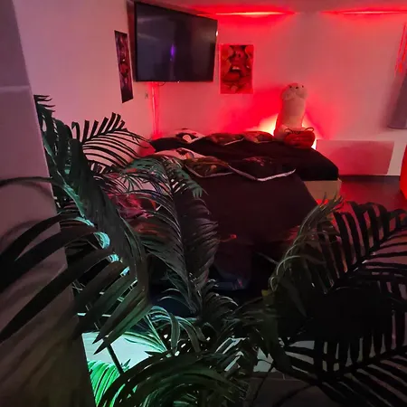 ゲストハウス Ile Des Plaisirs, Adults Only, Piscine Au Sel, Jacuzzi, Petit Dejeuner Tropical Offert 3*