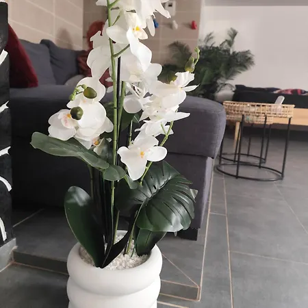 Ile Des Plaisirs, Adults Only, Piscine Au Sel, Jacuzzi, Petit Dejeuner Tropical Offert 3*