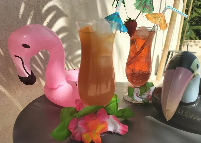 Ile Des Plaisirs, Adults Only, Piscine Au Sel, Jacuzzi, Petit Dejeuner Tropical Offert 3* Graulhet