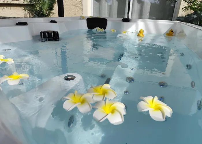 Ile Des Plaisirs, Adults Only, Piscine Au Sel, Jacuzzi, Petit Dejeuner Tropical Offert Graulhet