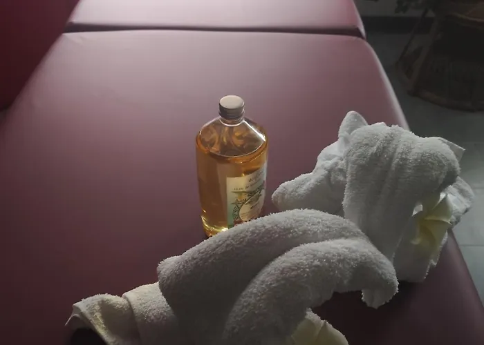 Affittacamere Ile Des Plaisirs, Adults Only, Piscine Au Sel, Jacuzzi, Petit Dejeuner Tropical Offert