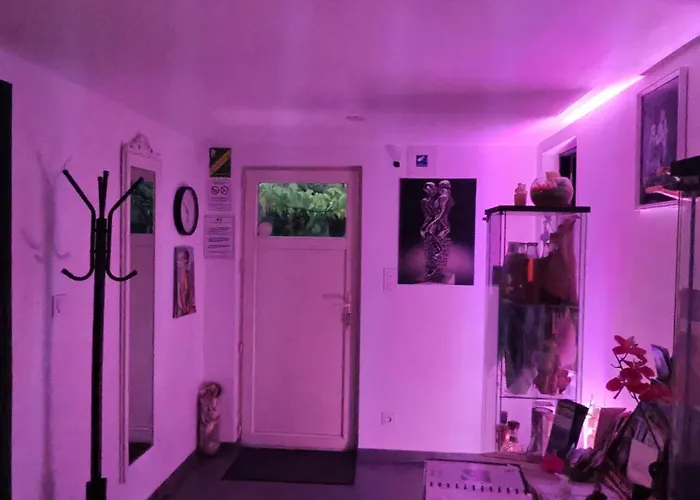 Ile Des Plaisirs, Adults Only, Piscine Au Sel, Jacuzzi, Petit Dejeuner Tropical Offert Affittacamere Graulhet