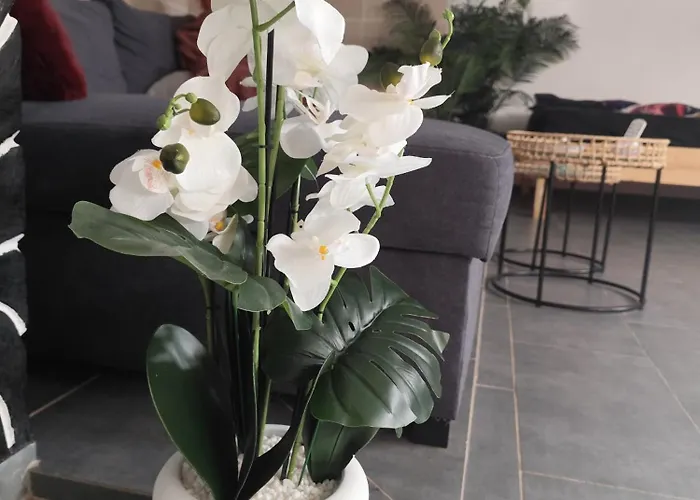 Ile Des Plaisirs, Adults Only, Piscine Au Sel, Jacuzzi, Petit Dejeuner Tropical Offert 3*