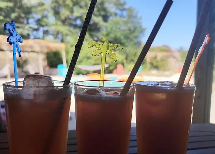 Ile Des Plaisirs, Adults Only, Piscine Au Sel, Jacuzzi, Petit Dejeuner Tropical Offert Affittacamere