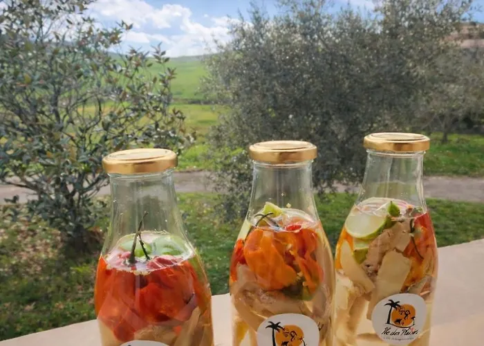 Ile Des Plaisirs, Adults Only, Piscine Au Sel, Jacuzzi, Petit Dejeuner Tropical Offert Affittacamere 3*