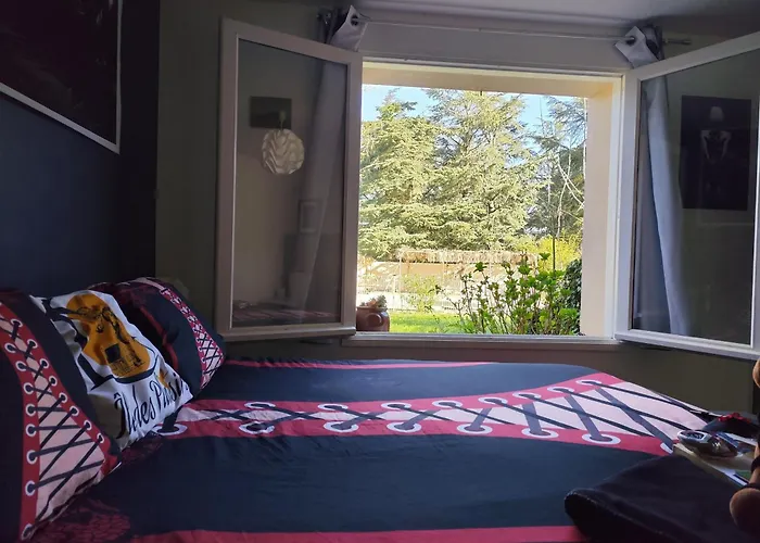 Ile Des Plaisirs, Adults Only, Piscine Au Sel, Jacuzzi, Petit Dejeuner Tropical Offert Affittacamere Graulhet